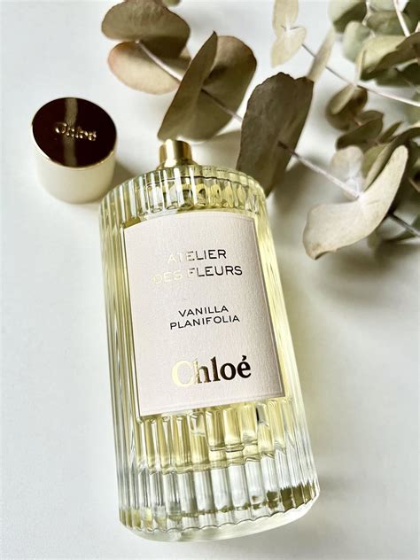 chloe parfum vanilla|vanilla planifolia perfume.